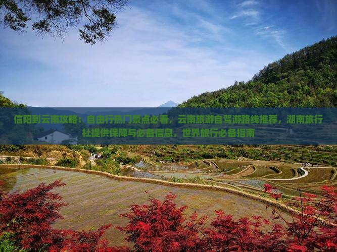 信阳到云南攻略