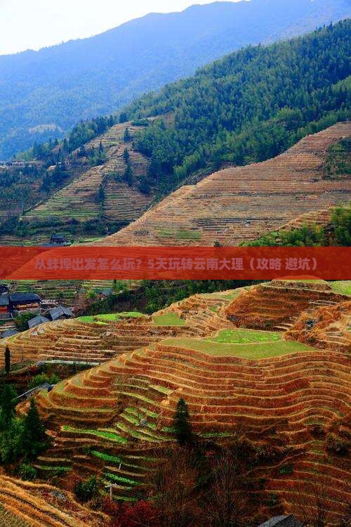 蚌埠到云南大理景点