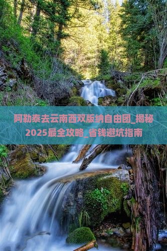 阿勒泰去云南西双版纳自由团