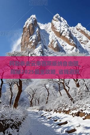 阿勒泰去云南西双版纳自由团