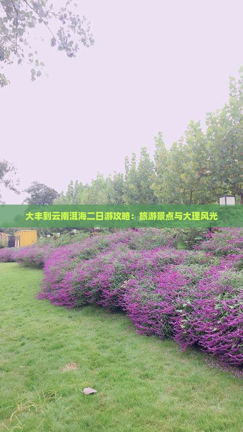 大丰到云南洱海二日游