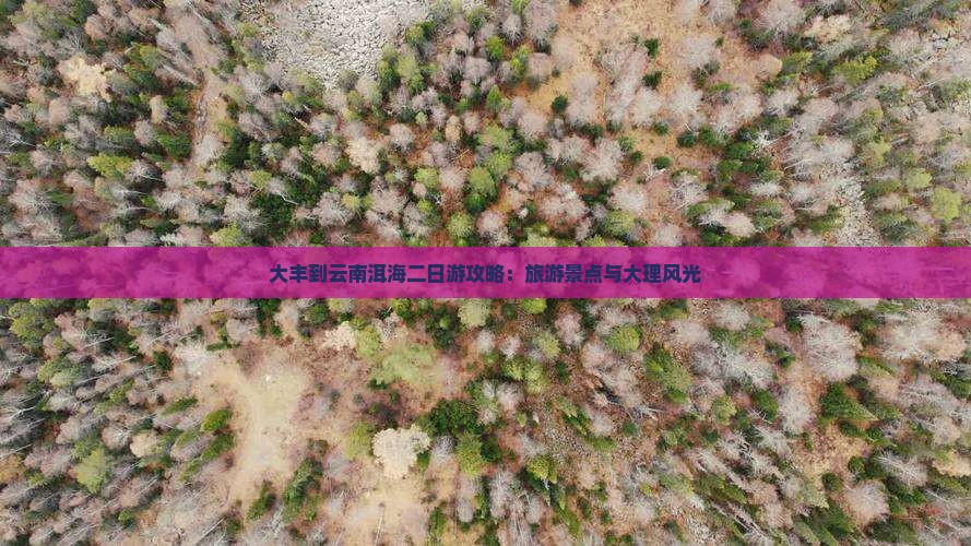 大丰到云南洱海二日游