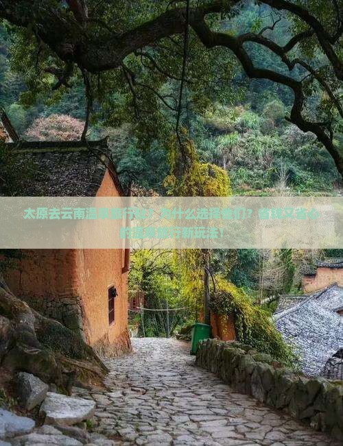 太原去云南温泉旅行社