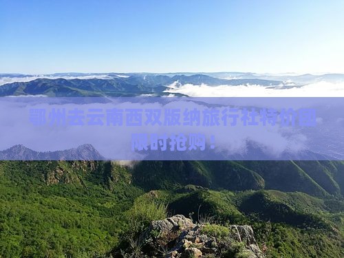 鄂州去云南西双版纳旅行社
