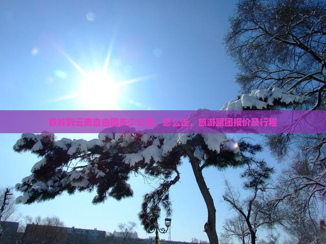 铁岭到云南自由团
