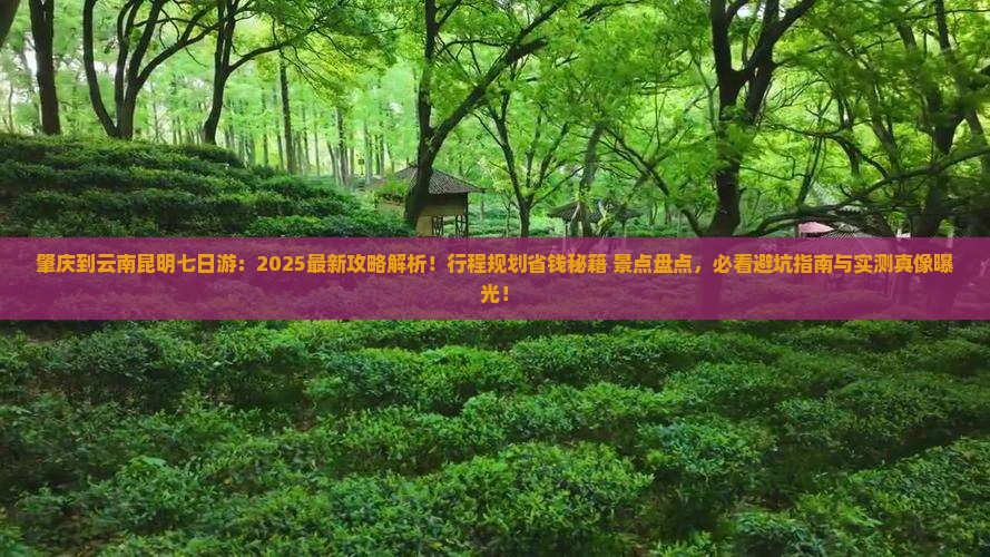 肇庆到云南昆明七日游