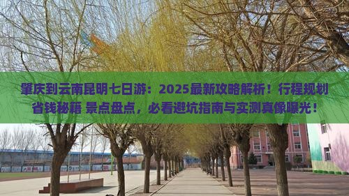 肇庆到云南昆明七日游