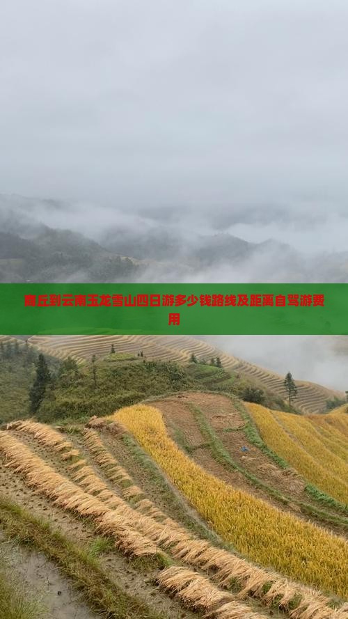 商丘到云南玉龙雪山四日游