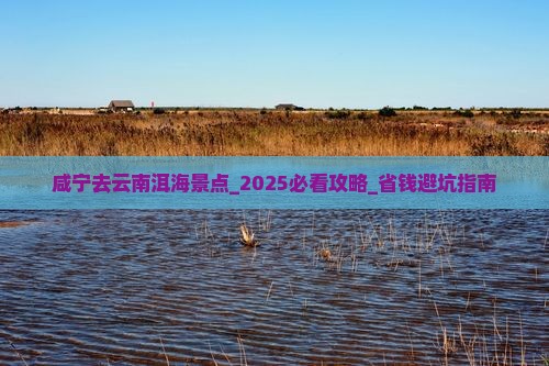 咸宁去云南洱海景点