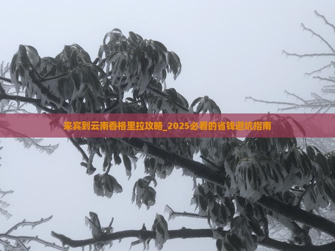 来宾到云南香格里拉攻略