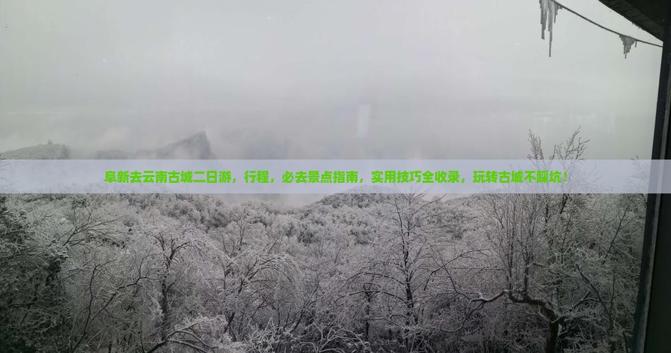 阜新去云南古城二日游
