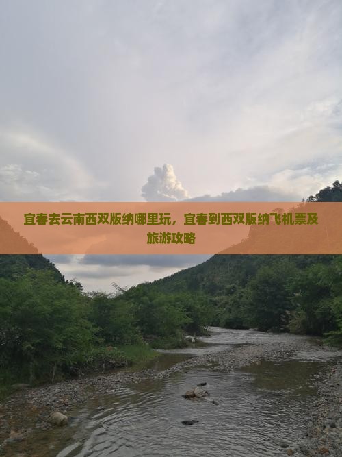 宜春去云南西双版纳哪里玩