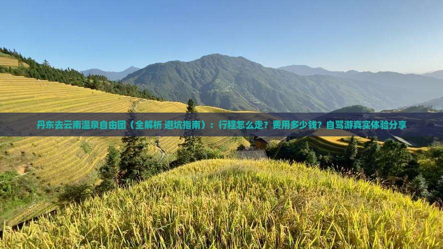 丹东去云南温泉自由团