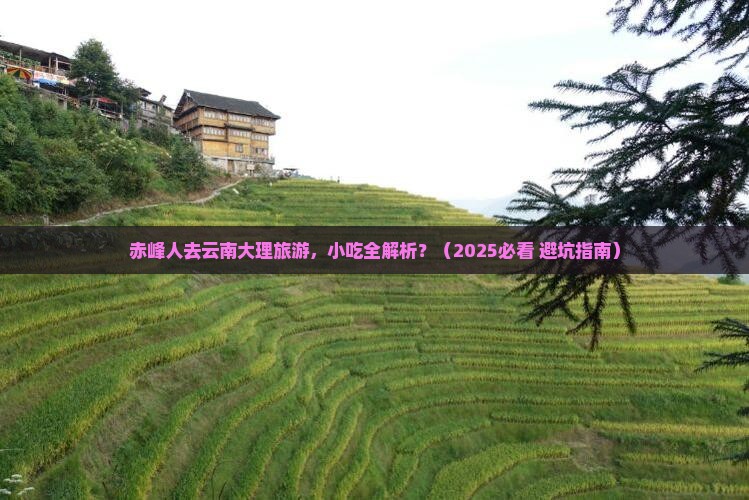赤峰去云南大理旅游小吃