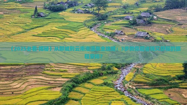 聊城去云南温泉旅游