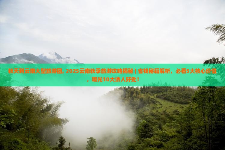 秋天到云南大型旅游团