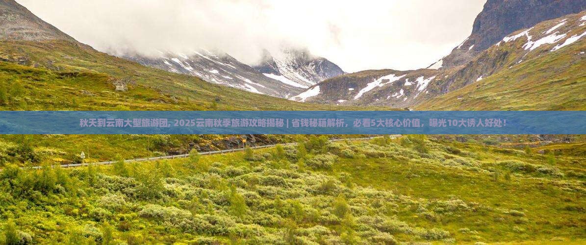 秋天到云南大型旅游团