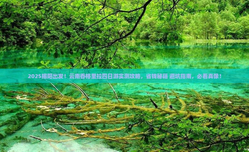 揭阳去云南香格里拉四日游