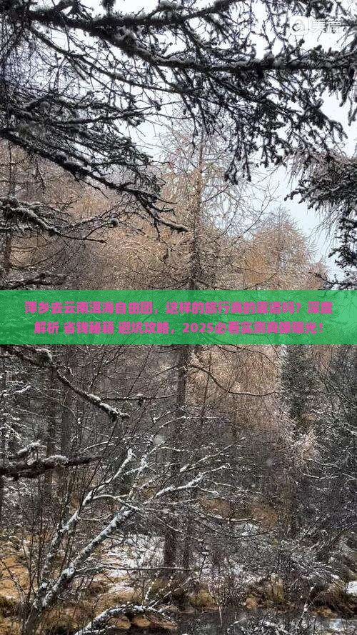 萍乡去云南洱海自由团