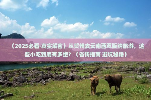 贺州到云南西双版纳旅游小吃