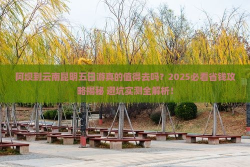 阿坝到云南昆明五日游