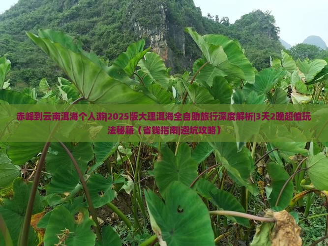 赤峰到云南洱海个人游 赤峰到云南洱海个人游