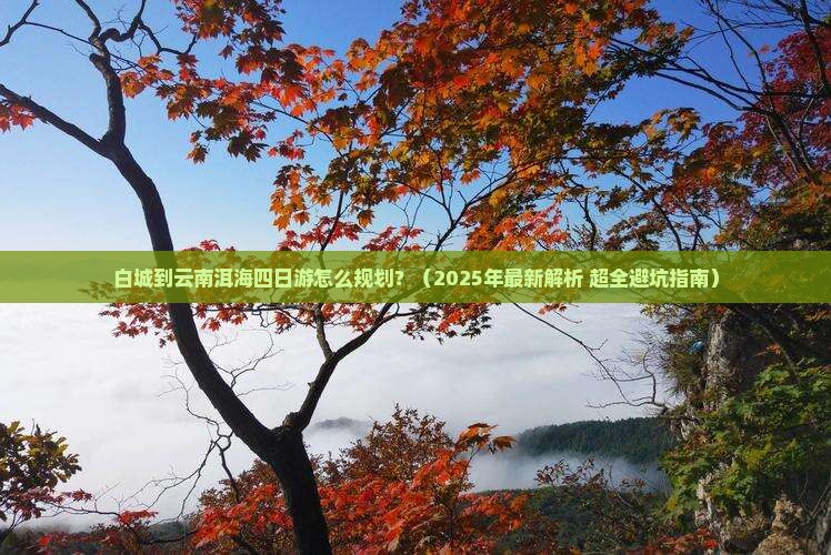 白城到云南洱海四日游