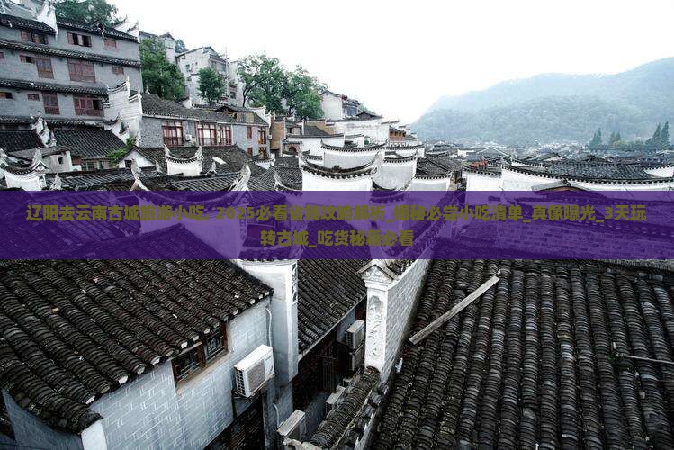 辽阳去云南古城旅游小吃