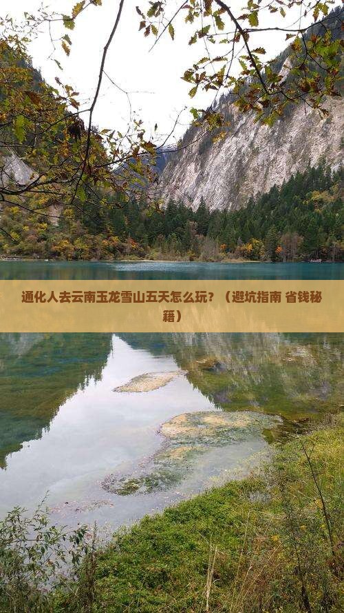 通化去云南玉龙雪山五日游