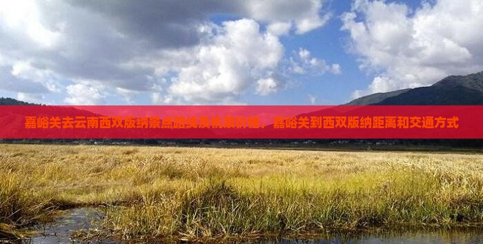 嘉峪关去云南西双版纳景点