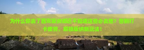 西双版纳去云南西双版纳必去地