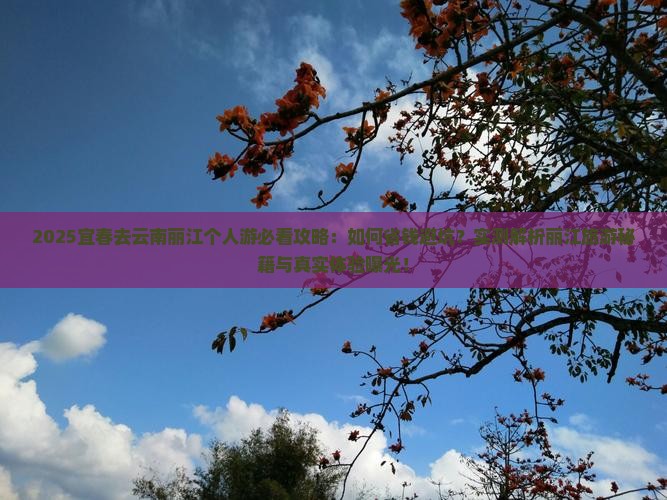 宜春去云南丽江个人游