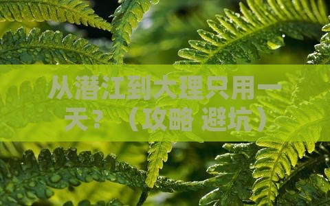 潜江去云南大理一日