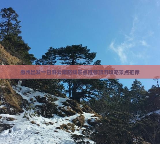 惠州到云南一日