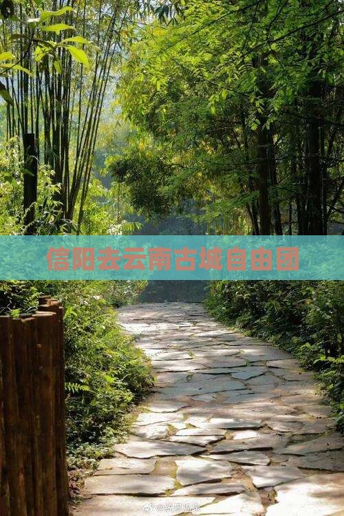信阳去云南古城自由团