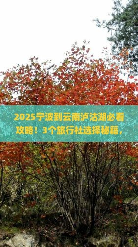 宁波到云南泸沽湖旅行社 宁波到云南泸沽湖旅行社