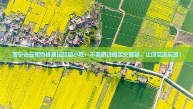 西宁去云南香格里拉旅游小吃