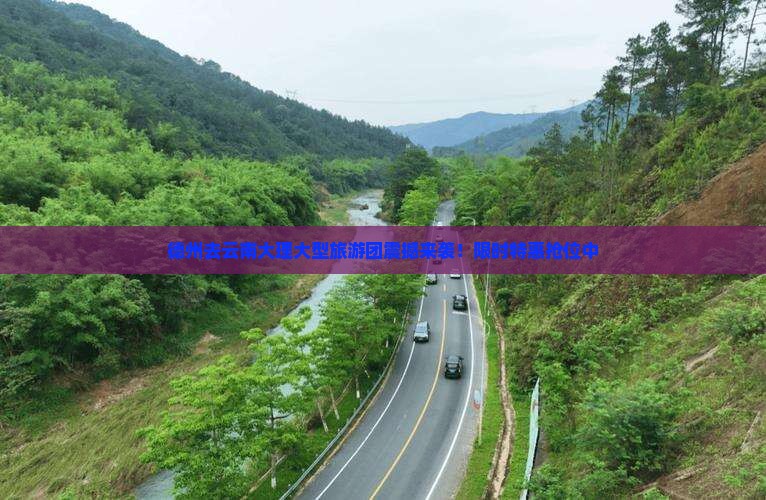 德州去云南大理大型旅游团