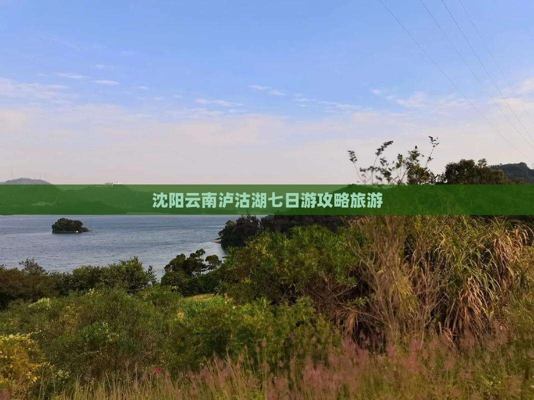 沈阳去云南泸沽湖七日游