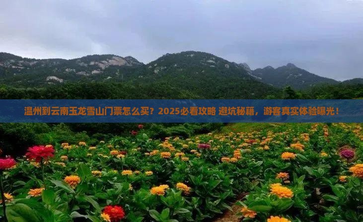 温州到云南玉龙雪山门票