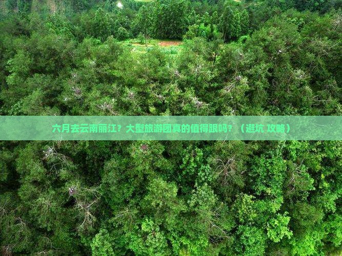 六月去云南丽江大型旅游团