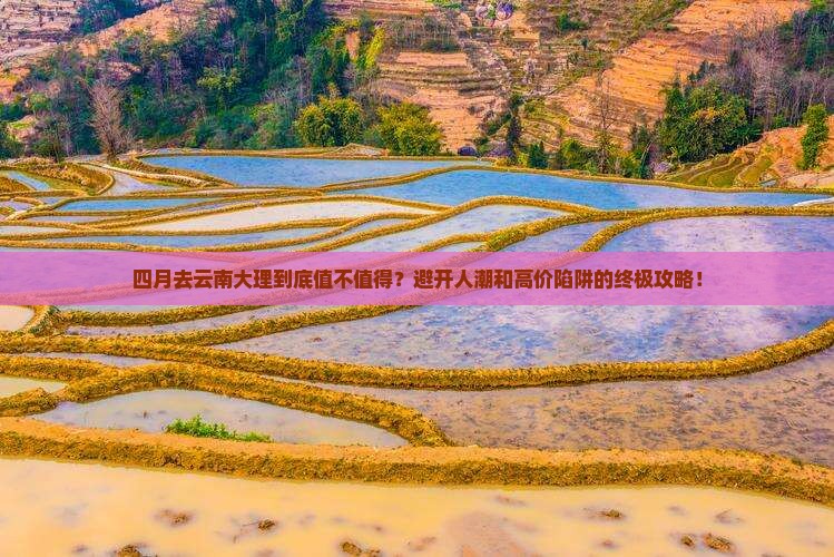 四月去云南大理攻略