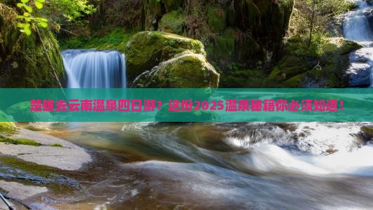 楚雄去云南温泉四日游