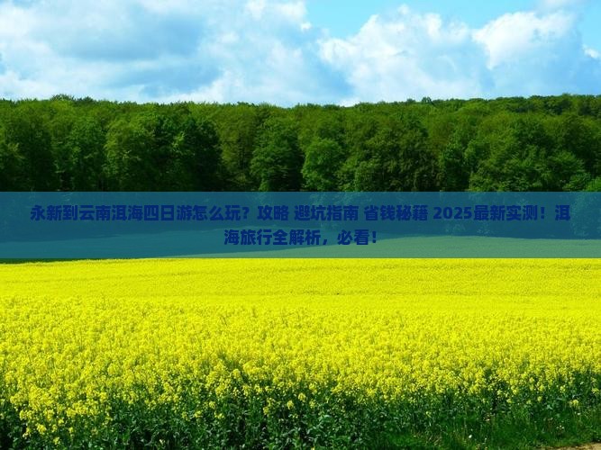 永新到云南洱海四日游