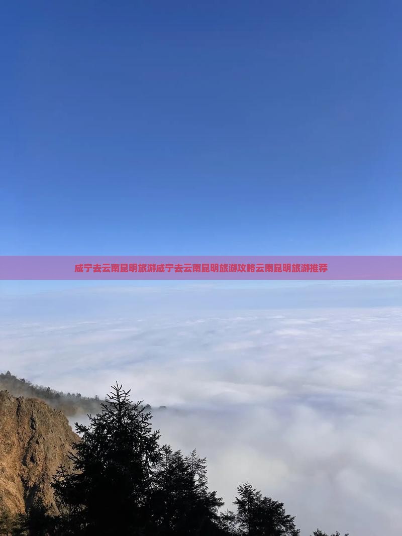 咸宁去云南昆明旅游
