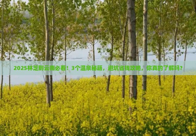 林芝到云南温泉必去地