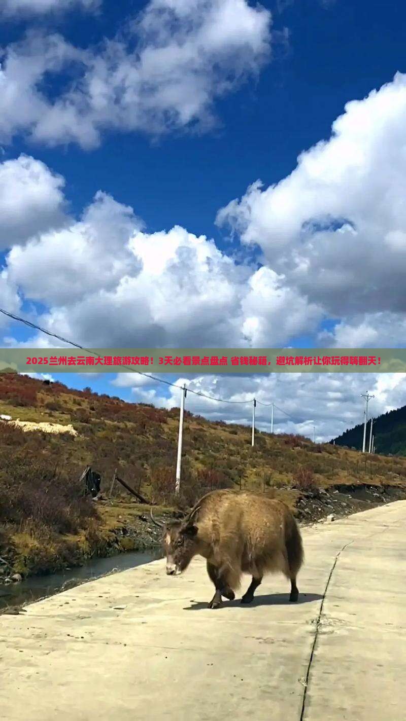 兰州去云南大理旅游