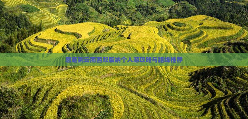 恩施去云南西双版纳个人游