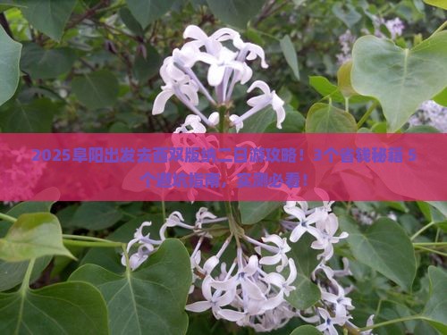 阜阳到云南西双版纳二日游