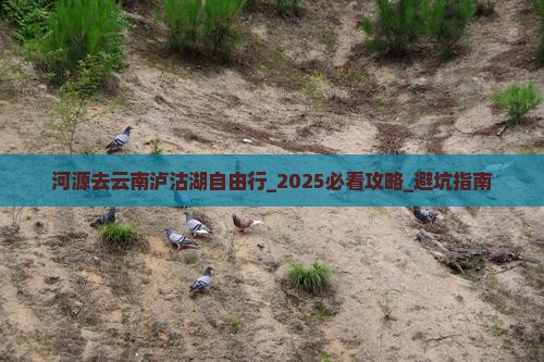 河源去云南泸沽湖自由行